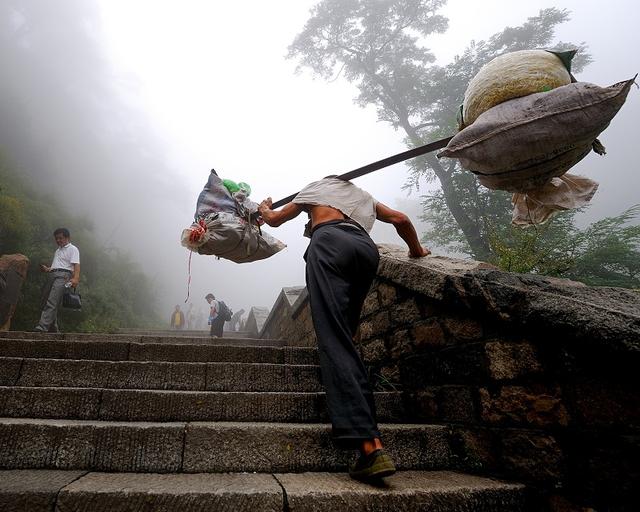 谜语潮流:背負重擔頂天踵地问梢头冷蕊疏疏